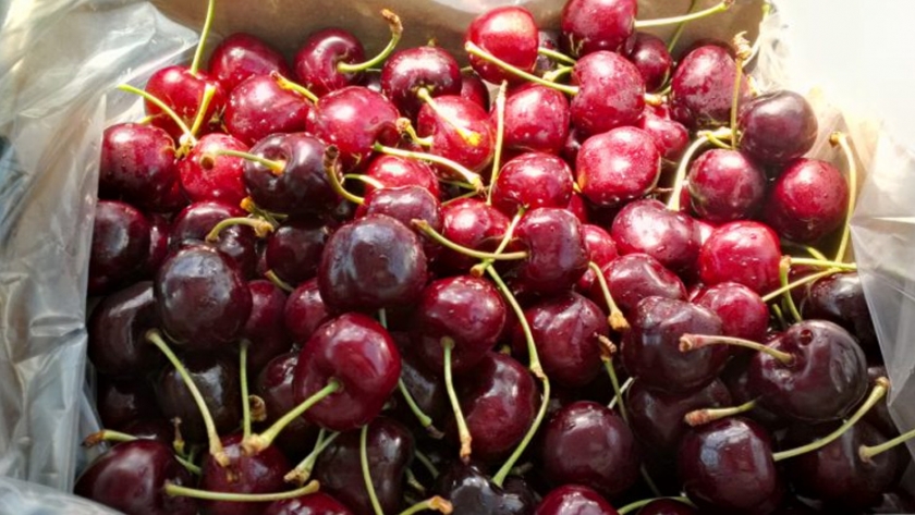 Consideraciones para el uso de atmósferas modificadas en postcosecha de cerezas