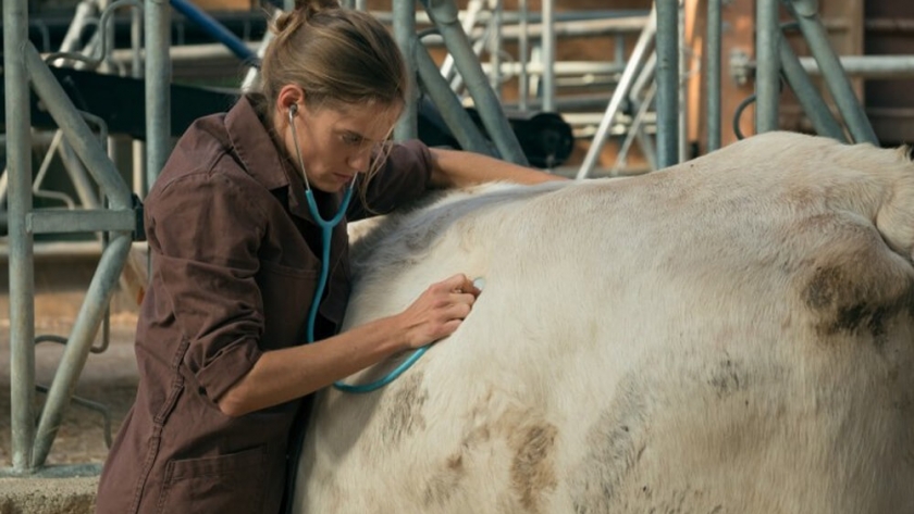 La película que le hace honor a los veterinarios rurales