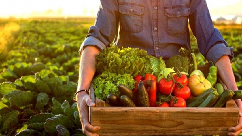 ¿Puede un mundo 100% orgánico producir suficiente alimento para toda la población?