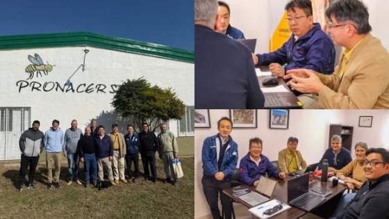 La miel argentina vuelve a conquistar Japón: una cooperativa santafesina retomó sus envíos tras una pausa comercial
