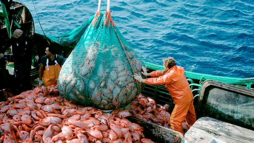 A pesar del coronavirus, la pesca aportará este año unos USD 1.300 millones en exportaciones