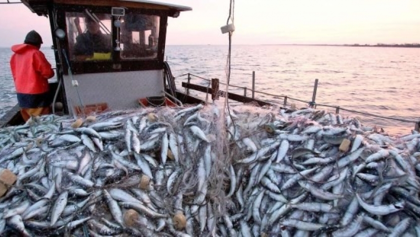 Fuerte déficit comercial en Junio, la pesca luchando contra la corriente