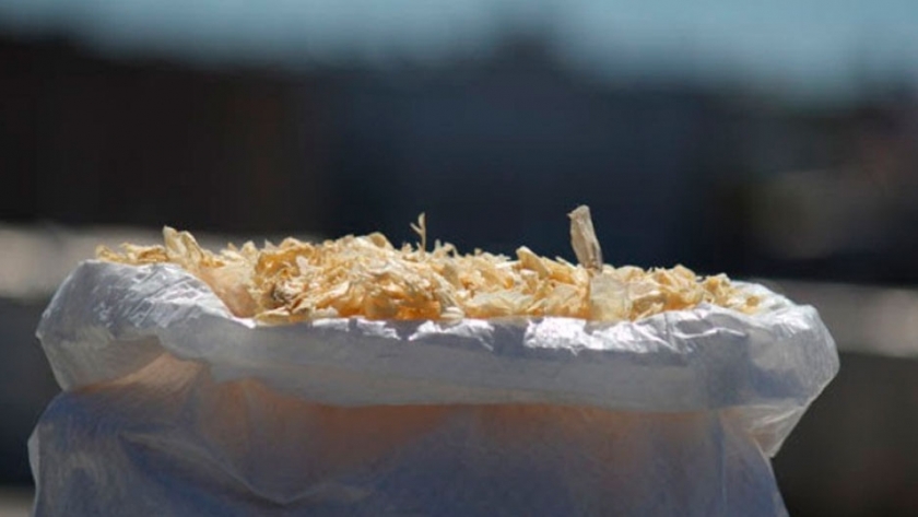 Convertirán desechos de langostinos en productos de valor agregado