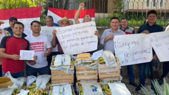 Finalmente sucedió: Paraguay decidió suspender la exportación de bananas a la Argentina ante la falta de pago