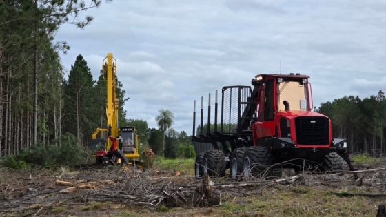 Desarrollo productivo en Santo Tomé: forestoindustria y frontera