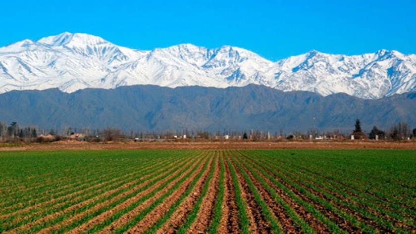 Mendoza apuesta todo al campo  