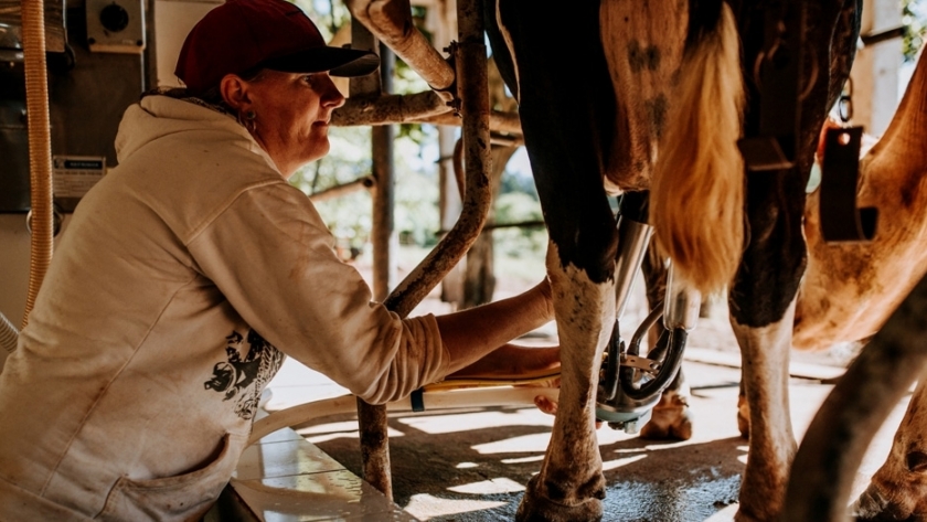 El Agro financia a cooperativas lecheras para sostener la producción en invierno