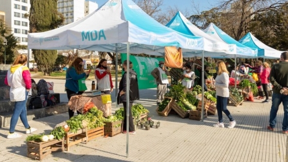 Mercados Bonaerenses llega este miércoles con productos frescos, precios justos y reintegros con Cuenta DNI