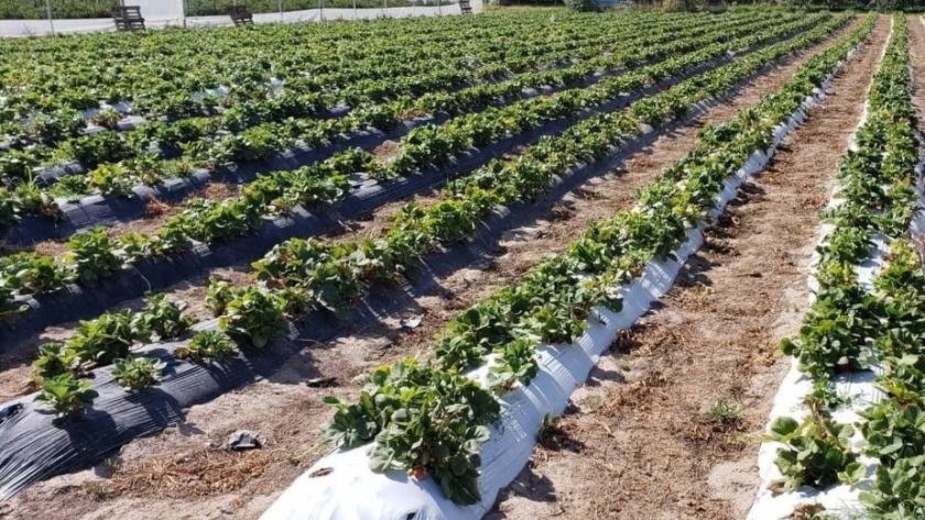 De manera interinstitucional, la Provincia avanza en la aplicación de buenas prácticas agrícolas