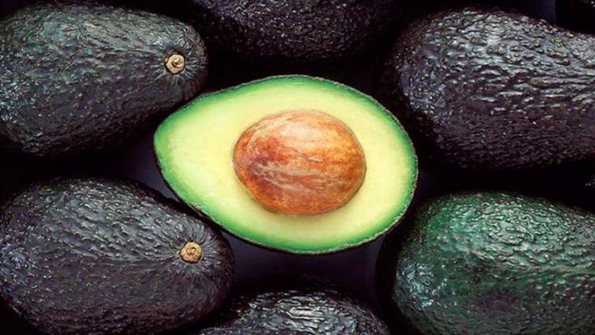 Investigación mostró la efectividad del control biológico de plagas en los cultivos de aguacate Hass