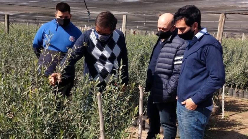 Capacitan a jóvenes en materia agrícola con salida laboral en Catamarca