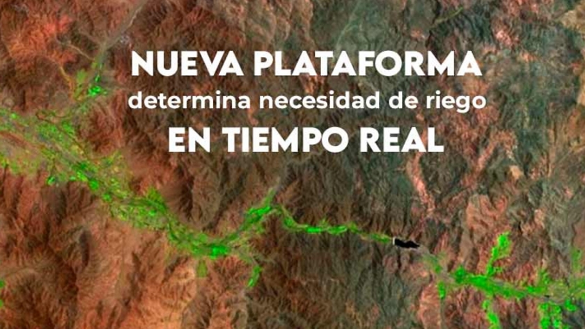 Crean Plataforma Agrícola para determinar las necesidades de riego de los cultivos en tiempo real