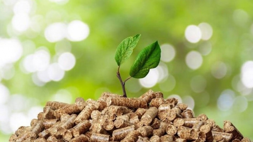 Potencial de Desarrollo de Plantaciones Dendroenergéticas en la Argentina