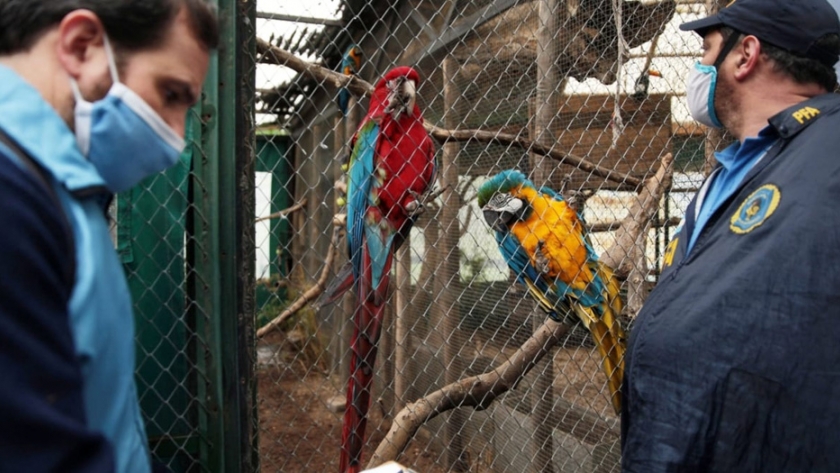 Ambiente allanó el zoológico de Luján