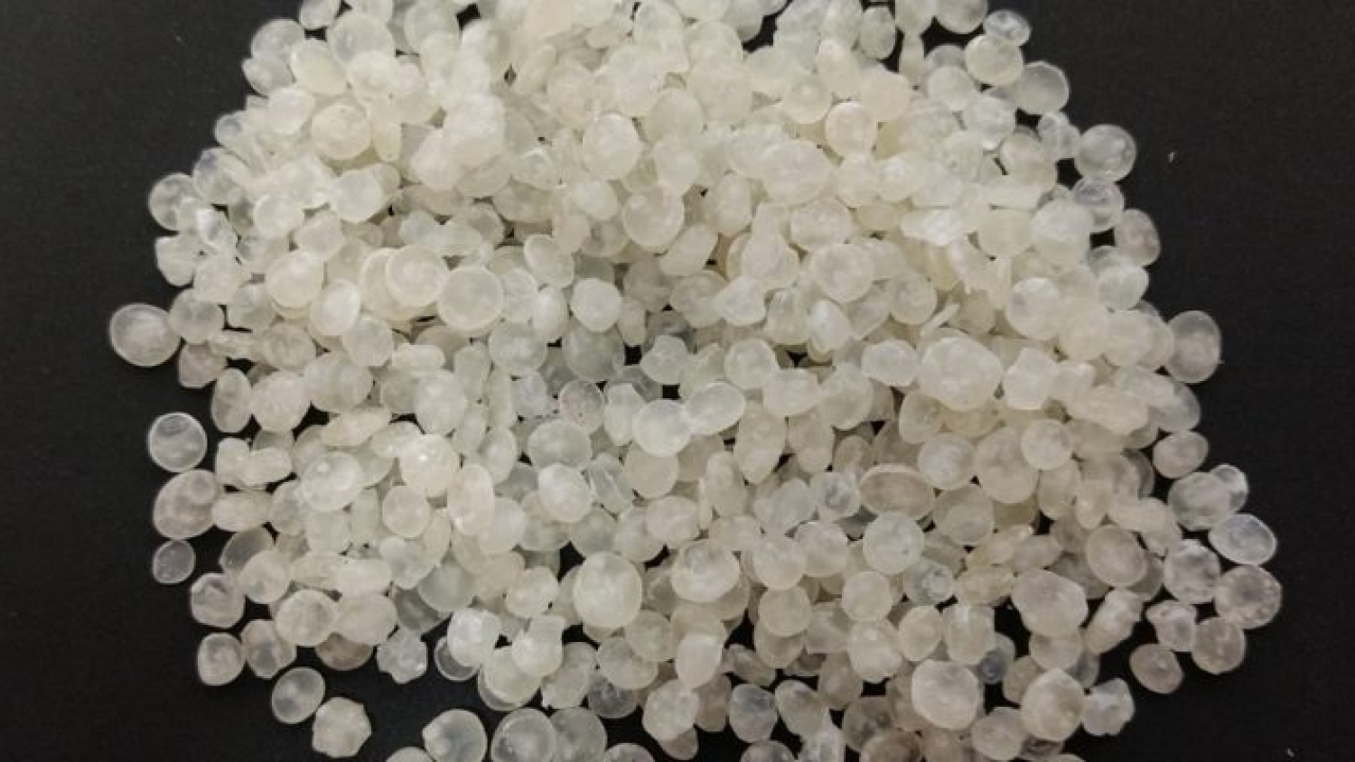 Argentina avanza en bioplásticos: desarrollan bolsas biodegradables con almidón de mandioca en Misiones