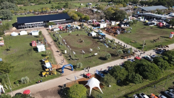 Corrientes fue epicentro de la genética bovina y equina con “Las Nacionales”