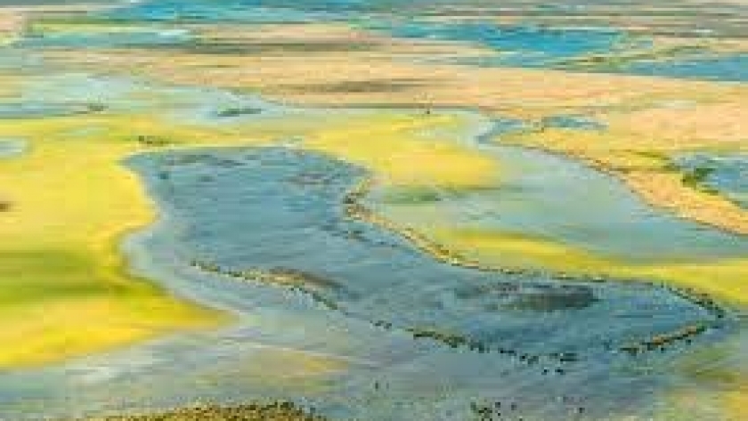 Nueva edición del curso sobre biodiversidad dedicado a gestoras y gestores ambientales