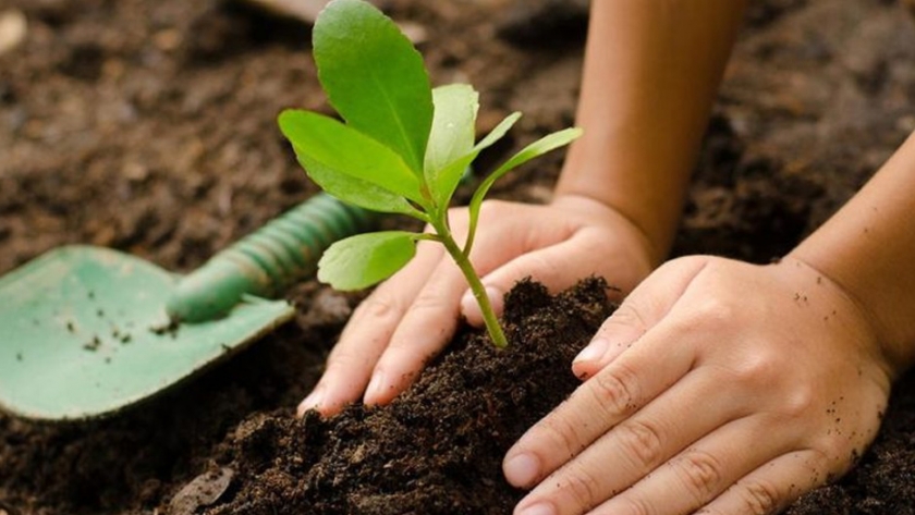 El Ministerio de Producción capacita a personal de predios deportivos en agroecología