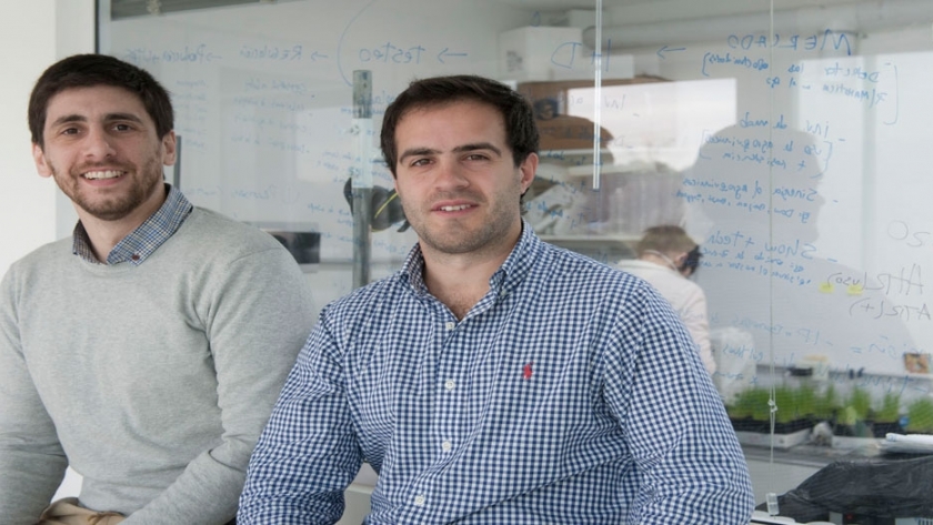 Nanótica: un emprendimiento para sumar tecnología al agro en la Argentina