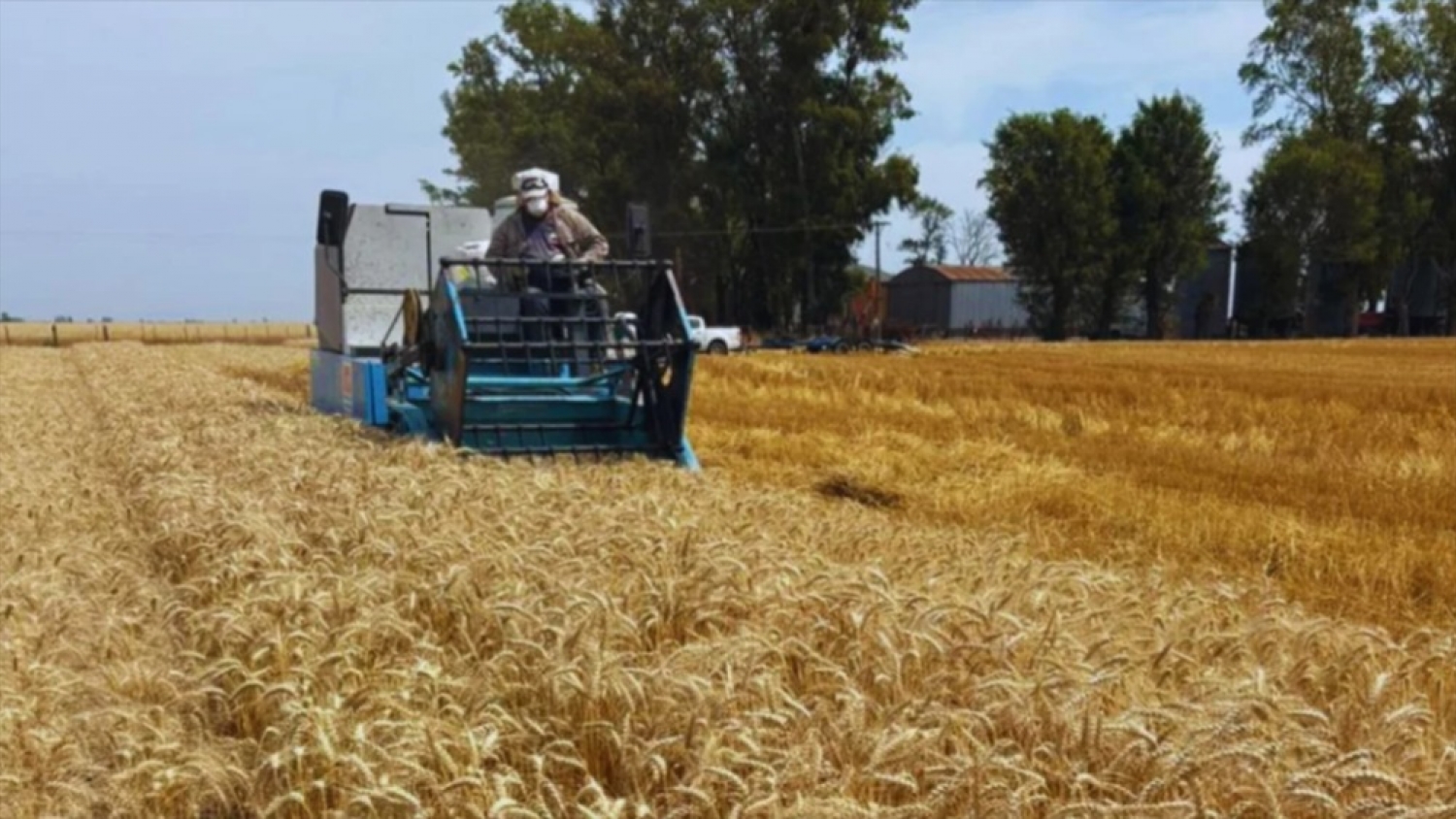 Fertilización inteligente: el INTA advierte que planificar será decisivo para sostener los rindes en la próxima campaña