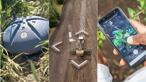 Con sensores, aplicaciones e inteligencia artificial: las tres herramientas digitales para el agro que se unen y forman Digital Agri
