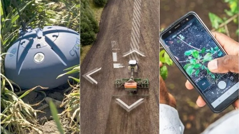 Con sensores, aplicaciones e inteligencia artificial: las tres herramientas digitales para el agro que se unen y forman Digital Agri