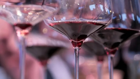 Cómo se mide: un mundo de raras equivalencias para precisar cantidades de vino