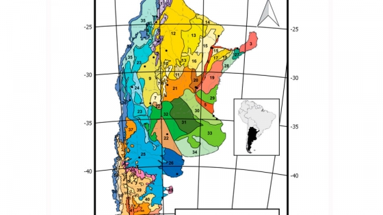 Una investigación de la FAUBA elaboró un novedoso mapa fitogeográfico