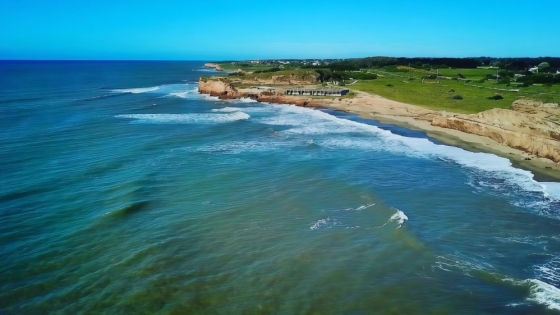 La Restinga, el santuario marino oculto a metros del faro de Mar del Plata