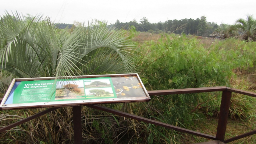La provincia y CTM trabajan en la restauración ambiental y el apoyo a las áreas protegidas en la zona de Salto Grande