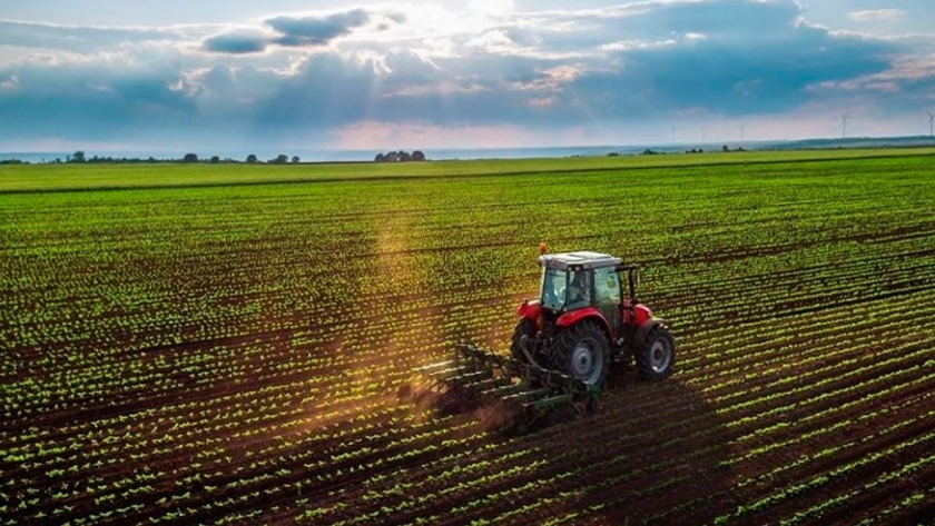El campo estaría entre los sectores menos afectados por el COVID-19