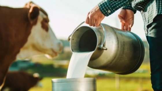 La producción de leche cayó un 6,5% en 2024: desafíos y perspectivas