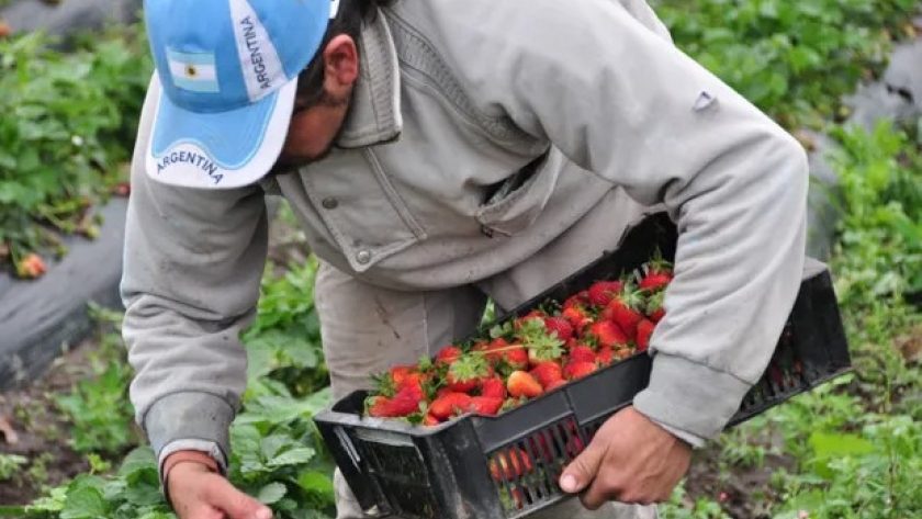 Cayó casi un 10 % la participación del productor en el precio final de los alimentos