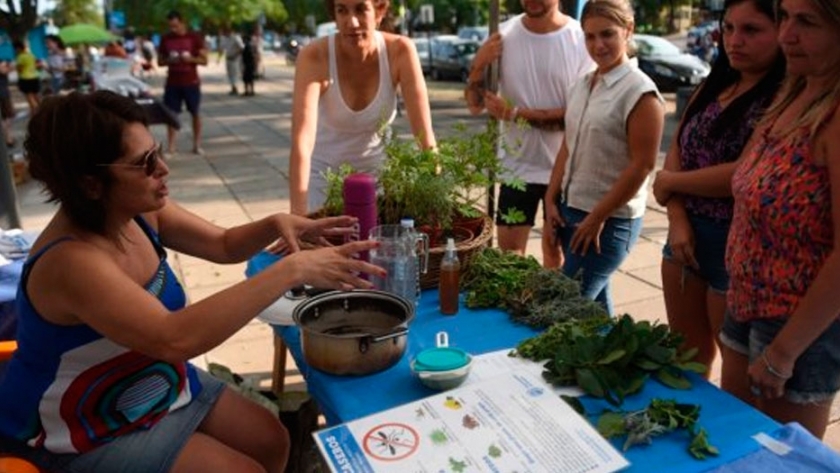 En España, enseñan a hacer repelentes caseros contra los mosquitos