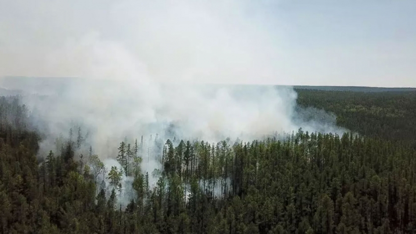 La ola de calor en Siberia sería "casi imposible" sin el impacto del cambio climático