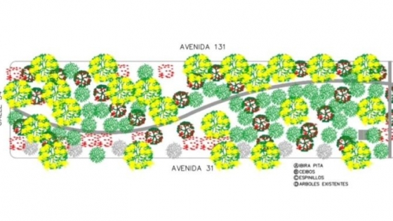 Forestación de árboles nativos en La Plata: de qué se trata y cómo ser parte de este proyecto verde