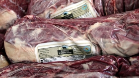 Exportaciones de carne bovina: proyectan que 2023 cerrará con el peor ingreso de divisas de los últimos 4 años