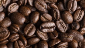 El café argentino busca despegar en el NOA con inversiones, tecnología y apoyo técnico