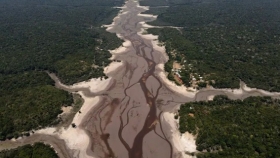 El calentamiento global, la deforestación y los incendios podrían acelerar la desaparición del Amazonas, alerta un estudio