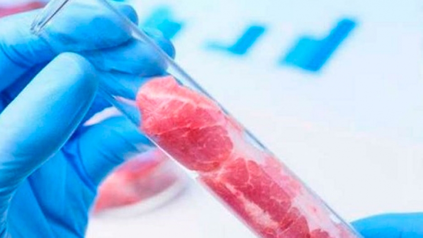 Una apuesta argentina por la carne celular