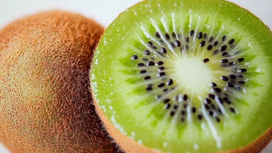 Germinar kiwi en casa: guía completa para cultivar esta fruta tropical