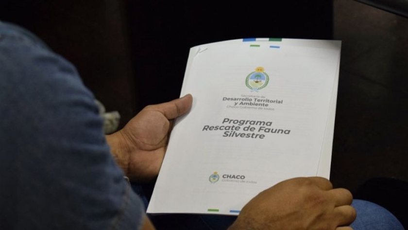 Consejo Provincial del Ambiente: se llevó a cabo la primera reunión de la Comisión de Fauna Silvestre y Bienestar Animal