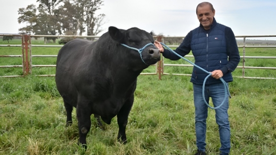 <Ramón Díaz y el primer remate Angus en La Oración: un golazo del agro