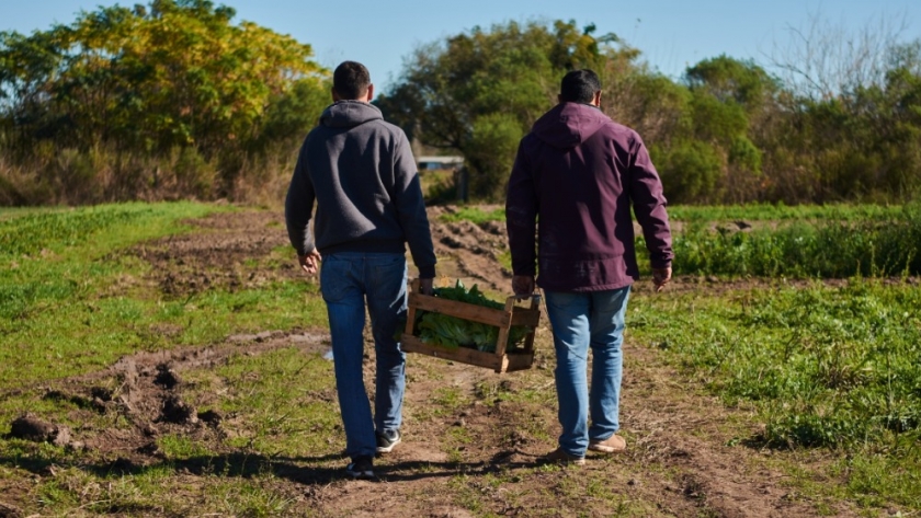 Se prorrogó hasta el 2 de octubre la inscripción al programa módulos productivos de la agricultura familiar