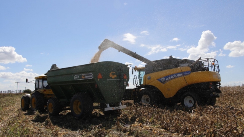 Productores: se debe tramitar el Certificado Nacional para circular y se recomienda llevar también el provincial