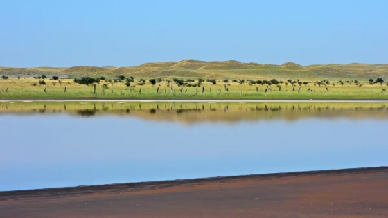 Laguna de Utracán: naturaleza, pesca y tranquilidad en un solo lugar