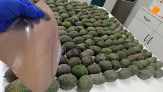 Una empresa peruana convierte los residuos de palta en bioplásticos biodegradables