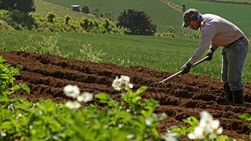América Latina responderá por 25% de las exportaciones agrícolas a 2028
