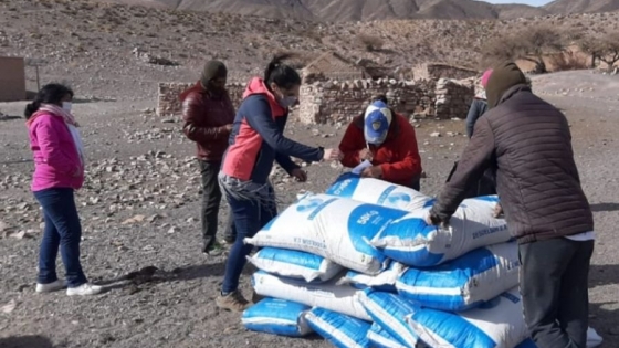 Pequeños productores salteños recibieron más de 19 toneladas de soja desactivada