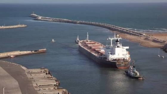 Exportaciones agroindustriales: Argentina alcanzó un récord de 84,26 millones de toneladas hasta agosto